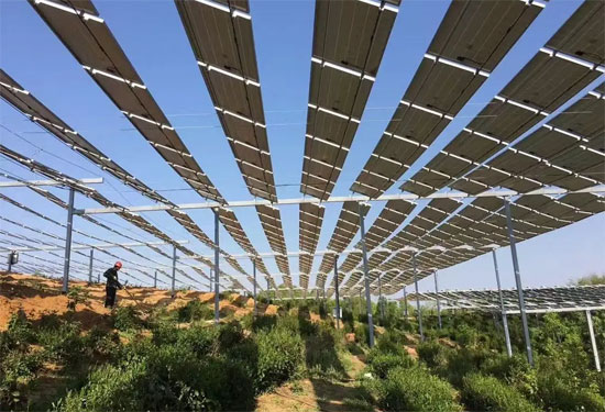 Å©¹â»¥²¹ÊÇʲô