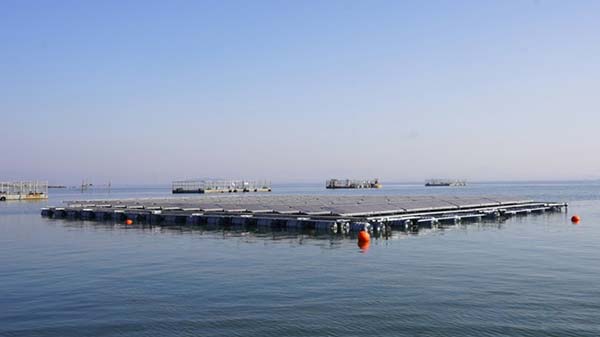 ��Խ�ả�Ϲ��ʵ֤��Ŀ