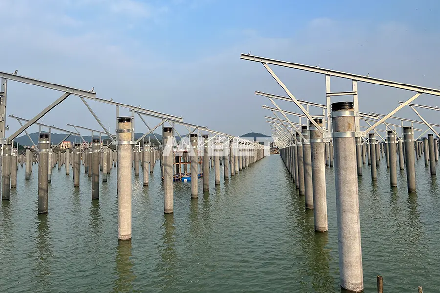 �й�����