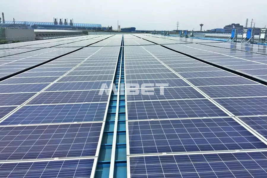 �й�����