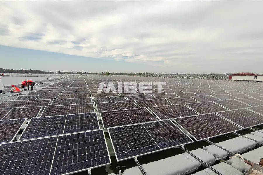 �й�����